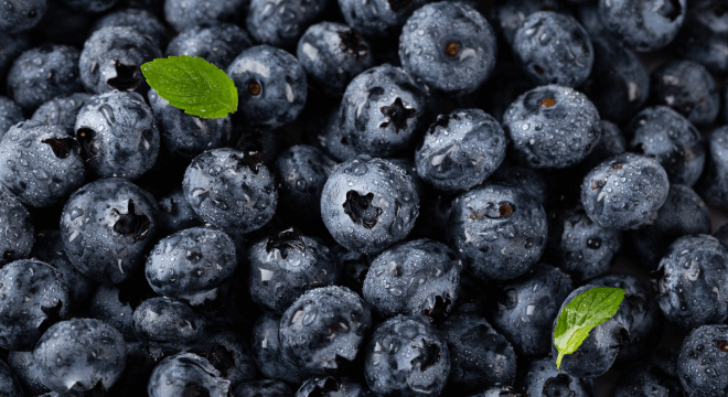 Why you should eat blueberries? picture