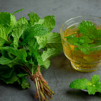 Take Lemon Balm picture