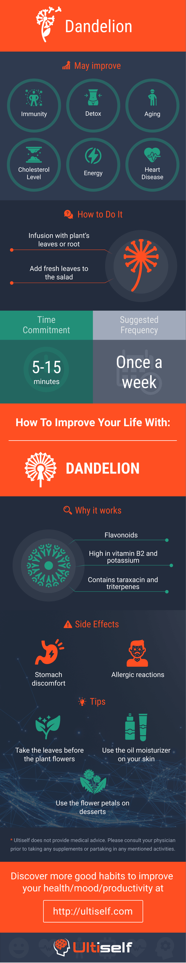 Dandelion infographic