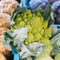 Cruciferous Vegetables picture