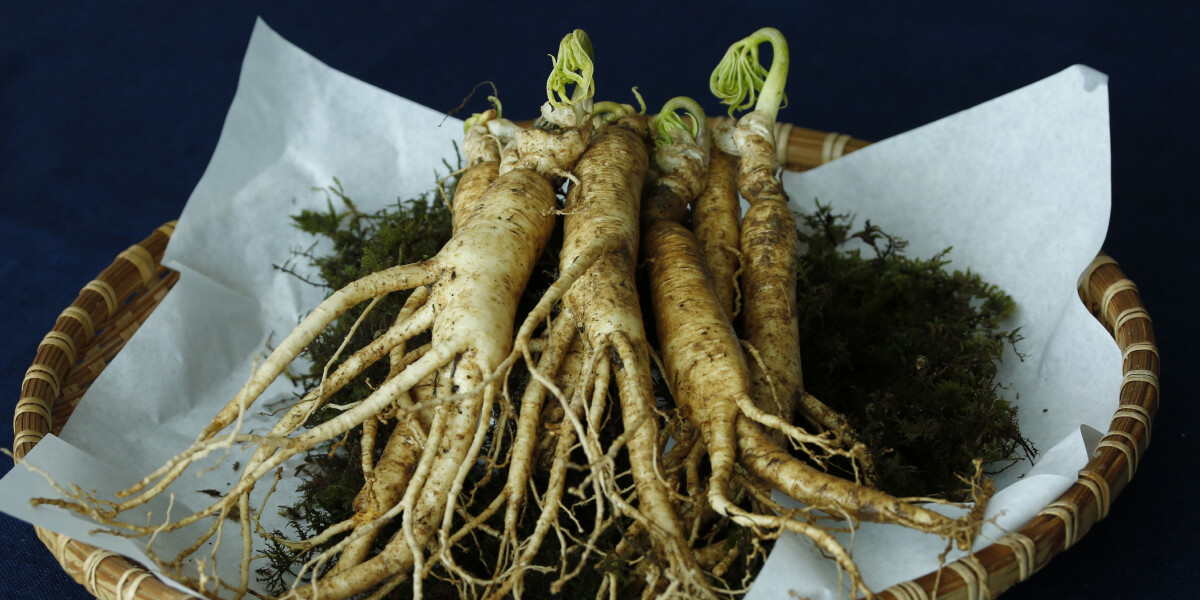 Take Ginseng